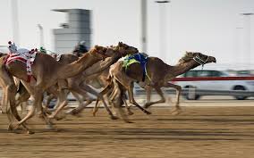 دليل يشتمل على أبرز العادات والتقاليد في الامارات مثل اللبس التقليدي واشهر الاطباق ماي بيوت