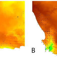 Each of the rooms is. Pdf Correlates Of Hyperdiversity In Southern African Ice Plants Aizoaceae
