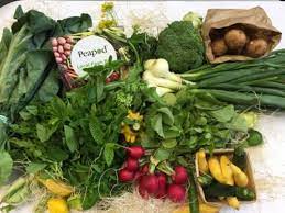 Peapod fulfills more than 23 million orders across 24 markets. Enter To Win A 100 Peapod Gift Card Kidfriendly Dc