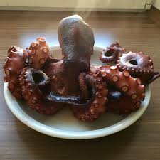 Pin Auf Fisch Und Meeresfruchte
