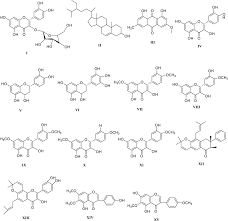 Image result for Lannea humilis