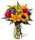 Check spelling or type a new query. Flowers To The University Of Texas M D Anderson Cancer Center Houston Texas Tx Same Day Delivery To Campus And Dormitories By A Local Florist In Houston