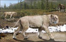 Cave In The Urals Reveals Haul Of Cave Lion Bones Ancient Animals Prehistoric Animals Prehistoric Creatures