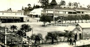 Wyong Nsw C 1925 1929 Australia History New South Wales Tourist Info