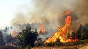 Maybe you would like to learn more about one of these? Mais De Sete Mil Incendios Em Portugal Desde O Inicio Do Ano Tvi24
