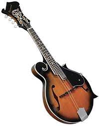 David paul wagner (david paul wagner on google+) note: Savannah Sf 100 F Model Mandolin Sunburst Musicely