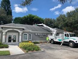 Trugreen® services the palm harbor area through our oldsmar branch location. A Absolute Tree Services Better Business Bureau Profile