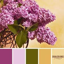 Dual Colors Combinaciones Unicas En Paletas De Colores Farbkombinationen Wandfarbe Farben