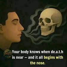 The Body Senses the End: The Importance of Smell in Health and Wellbeing