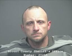 Blount arrest records and charges