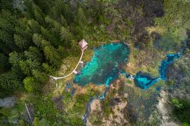 Emerald Lake Zelenci Springs Is A Nature Reserve Near The Town Of Kranjska Gora In The Far Northwestern Corner Of Slovenia Beatiful Forests