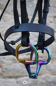 Rainbow Gloss Horsebit Von Evoequine Pegasebuzz Le Cheva 2020 Binicilik