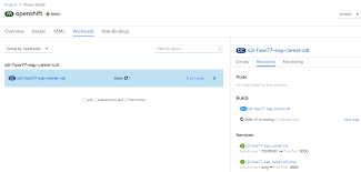 Web applications, messaging and database systems) including camel routes. Fuse On Openshift Guide Red Hat Fuse 7 7 Red Hat Customer Portal