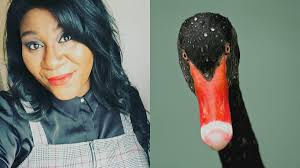 L'animal miroir de Mélissa Bédard est le cygne