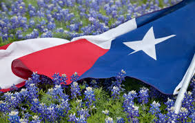 Texas Real Estate License Exam Prep Course Vaned