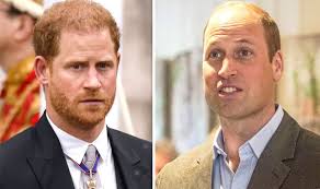 Prince Harry mocked by Karren Brady as brother William 'beats him in own  backyard'