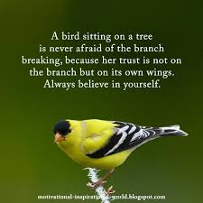 Bird Sitting On Branch Quote A Bird Sitting On A Branch Is Never Afraid Trust Yourself Trust Yourself Thought Provoking Touching Quotes
