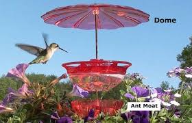 Whether you're a beginner or an enthusiast, you're sure to find the best. Hummblossom 4oz Hummingbird Feeders Pum Rose Colors