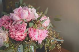 Jun 16, 2021 · in honour of his love of colour, guests are encouraged to wear something joyous and colourful. 9 Types Of Sympathy Flowers For Loss Of A Pet Cake Blog