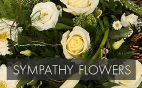 We did not find results for: Howes Florist Florist In Buckingham Flower Delivery Subscription Florals Intimate Weddings