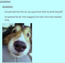 Wagging Too Hard Tumblr