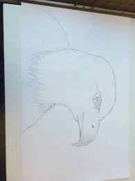 1 Eerste Les Op Groot Vel Een Arend Getekend Het Was Moeilijk Om De Vormen Te Maken Van Het Hooft Bijvoorbeeld En Het Was Makkelijk Tekenen Beautiful Vormen