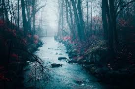 Up to 70% off top brands & styles. 1082x1922px Free Download Hd Wallpaper Nature Photography Landscape Wood Trees Fall Winter Mist Wallpaper Flare