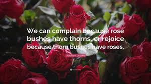 Many different kinds of sprouts lay torn. Abraham Lincoln Quote We Can Complain Because Rose Bushes Have Thorns Or Rejoice Because Thorn Bushes