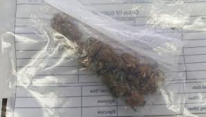 Chron.com reports on the latest houston, texas, national and international news Mundaring Police On Twitter 32 Year Old Acacia Prison Inmate Charged Today With Possessing Cannabis Whilst At Wooroloo Prison Farm