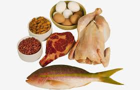 Resultado de imagen para VER IMAGENES SOBRE LOS TEMA NUTRICION DEL DEPORTE