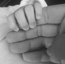 Foster parents are an important part of the treatment team and work in concert with a child's therapist, case manager and social worker to ensure each child has the opportunity to reach their full potential. What Is Therapeutic Foster Care Fostering Great Ideas