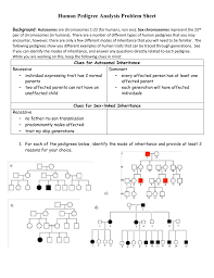 This pedigree chart shows how the trait of a white lock of hair has been inherited in a family. E Bio Worksheet Pedigree Analysis In Genetics Nidecmege