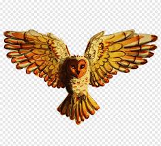 Burung hantu biasanya dikenal dengan burung dengan… burung hantu merupakan burung yang sudah populer semenjak jaman dahulu, satwa ini juga biasa dijadikan hewan peliharaan meskipun tampangnya kumpulan gambar angsa yang anggun. Burung Hantu Burung Mangsa Gambar Paruh Frie Hewan Burung Hantu Lukisan Png Pngwing