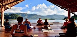200 hours yoga teacher training. 200 Hour Yoga Teacher Training New Zealand