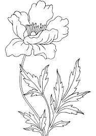 This stamp set and the entire coordinating expressions in ink suite is my absolute favorite in the catalog! Printable Poppy Coloring Page For Both Aldults And Kids