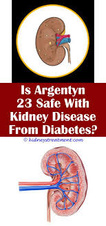 Kidney Cyst Disorders Kidney Disease Diet Kidney Disease Kidney Disease Symptoms