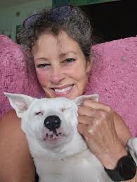 Dog goes missing and is found