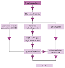 The rotterdam criteria are premature (англ.) // journal of clinical endocrinology & metabolism. Polycystic Ovary Syndrome Requires Long Term Holistic Care Hot Topic Guidelines In Practice