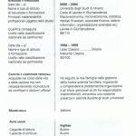 Ad esempio è possibile che versioni di word differenti mostrino il testo con — più o meno grandi — divergenze. Curriculum Vitae I 3 Modelli Efficaci Da Utilizzare Subito