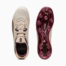 Image result for Puma 20