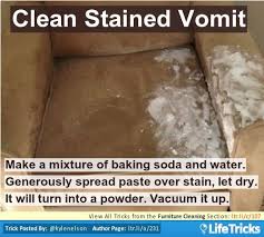 Clean Stained Vomit On Couch Lifetricks How To Clean Furniture Cleaning Cleaning Hacks