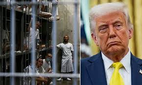 Tasha Archer's Instagram, Twitter & Facebook