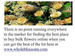 We did not find results for: Best Place To Buy Bulk Flowers Ppt Download