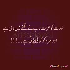 Pin On Urdu Poetry And Quotes
