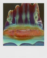 Ruined Polaroids - Photographs And Text By William Miller | Lensculture