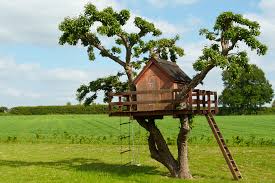 Title insurance provides cover for boundary fences (built prior to your ownership) that extend onto your land and prevent you from accessing part of your land. Backyard Upgrades Homeowners Insurance Four Seasons Insurance