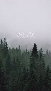 A collection of the top 46 8k minimalist wallpapers and backgrounds available for download for free. Tumblr Iphone Foggy Forest Wallpaper Tumblr Wallpaper Nature Phone Backgrounds