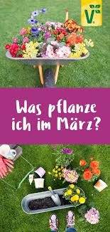 Gartentipps Fur Die Gartenarbeit Und Den Nutzgarten Im Marz In 2020 Pflanzen Gartenarbeit Garten Pflanzen