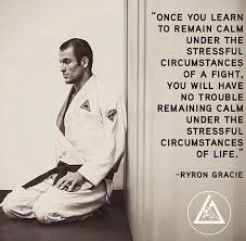 Stress Martial Arts Quotes Martial Arts Techniques Martial Arts