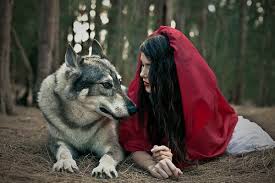 The Wolf That Fell In Love With Little Red Riding Hood Fanfiction Maybe We Can Talk About It Little Red Riding Hood Red Riding Hood Wolf Pictures